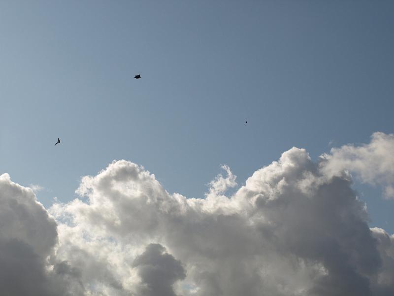 PA120119.JPG