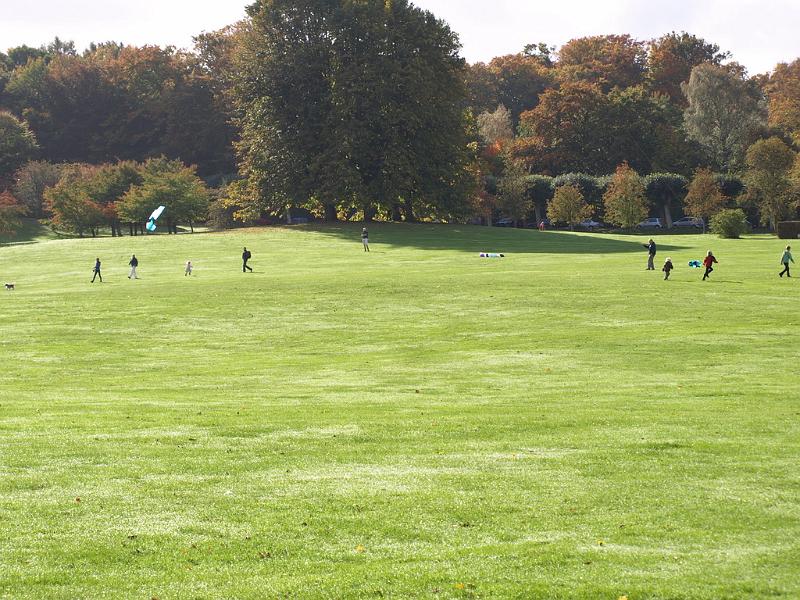 PA120120.JPG