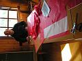 PICT0032