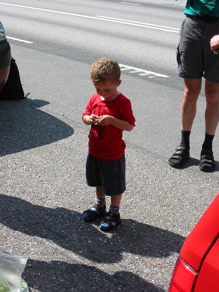 103-0365_IMG.JPG