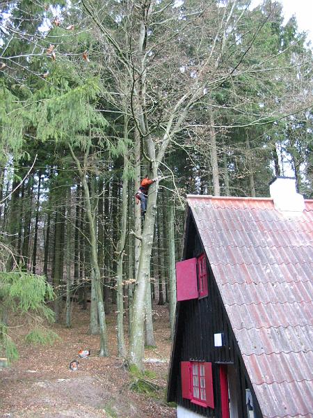 102-0217_IMG.JPG