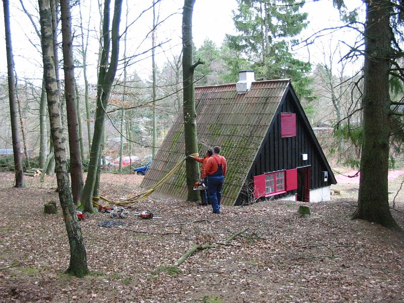 102-0219_IMG.JPG