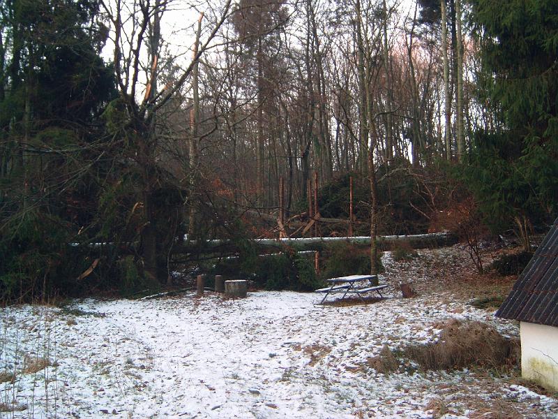 DSC00002.JPG
