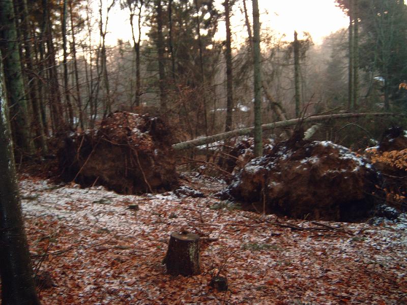 DSC00009.JPG
