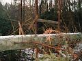 DSC00004