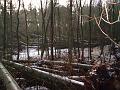DSC00005