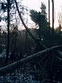 DSC00006