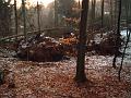 DSC00008
