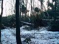 DSC00012