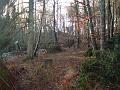 DSC00018