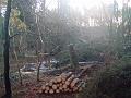 DSC00019