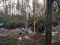DSC00027